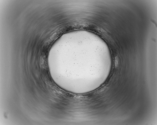 X0000102291059200808151947