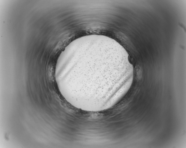 X0000102291060200808151947