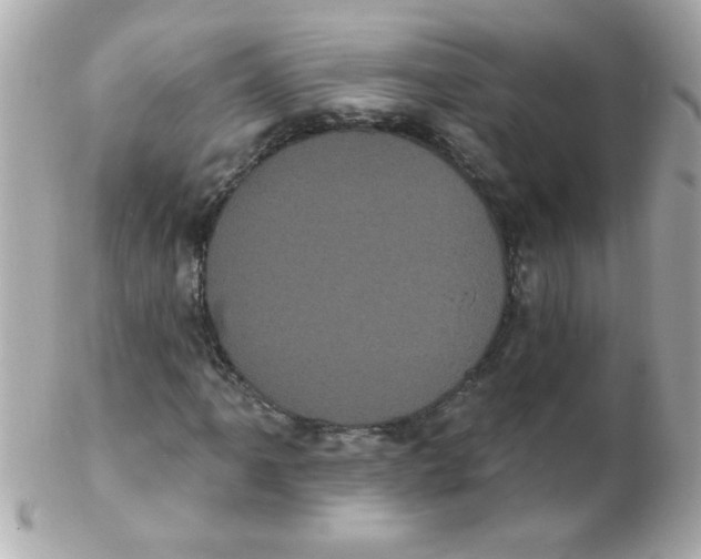 X0000102291061200808151947