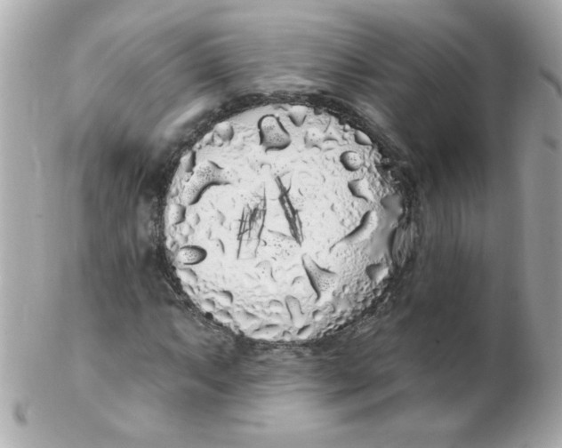 X0000102291063200808151947