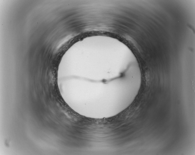 X0000102291064200808151947