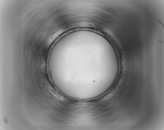 X0000102291065200808151947