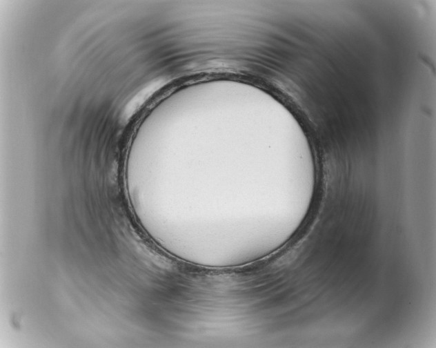 X0000102291066200808151947