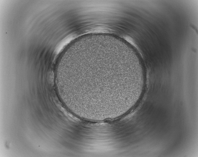 X0000102291067200808151947