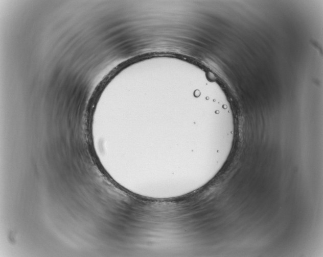 X0000102291068200808151947