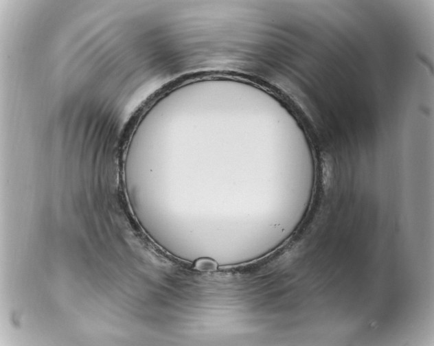 X0000102291069200808151947