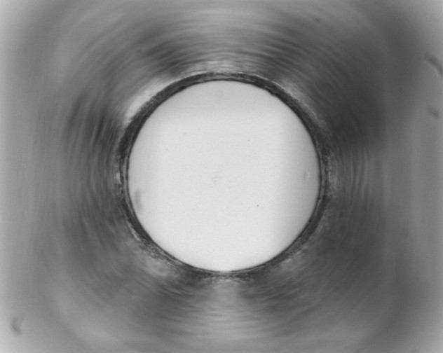 X0000102291070200808151947