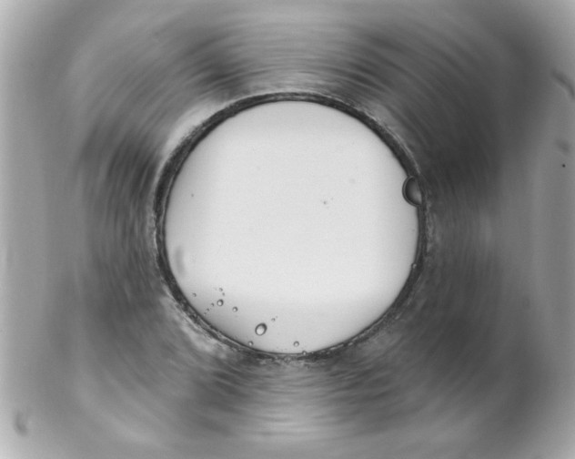 X0000102291072200808151947