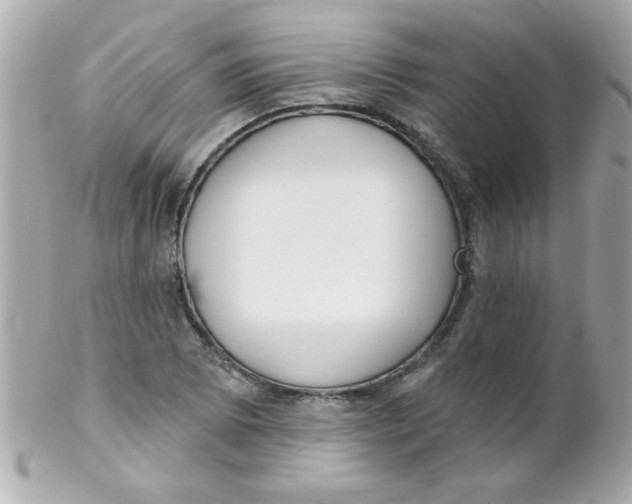 X0000102291073200808151947