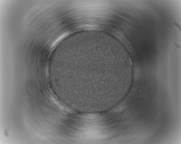 X0000102291074200808151947