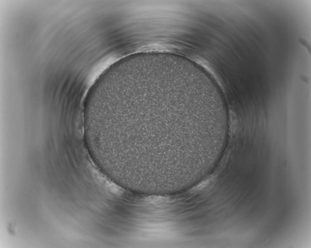 X0000102291075200808151947