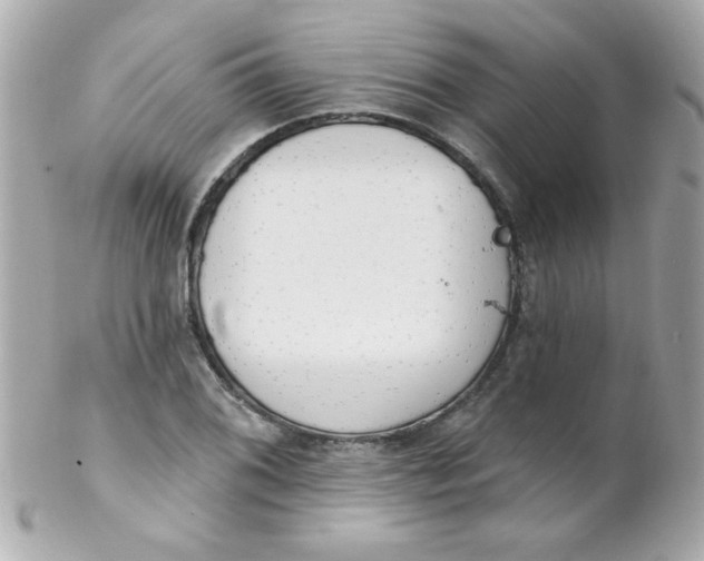 X0000102291076200808151947