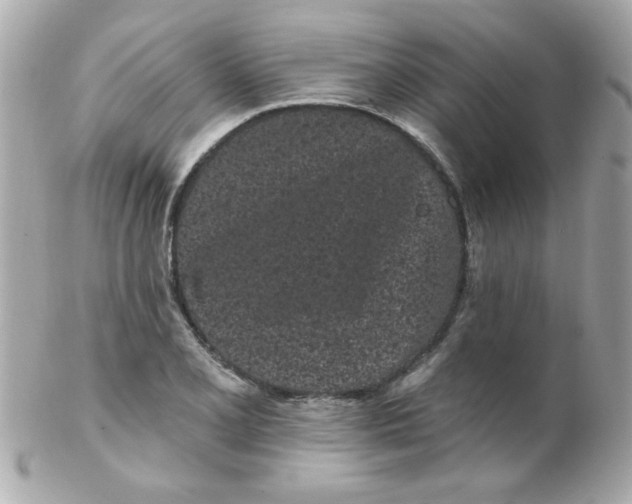 X0000102291077200808151947