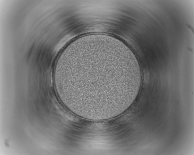 X0000102291078200808151947