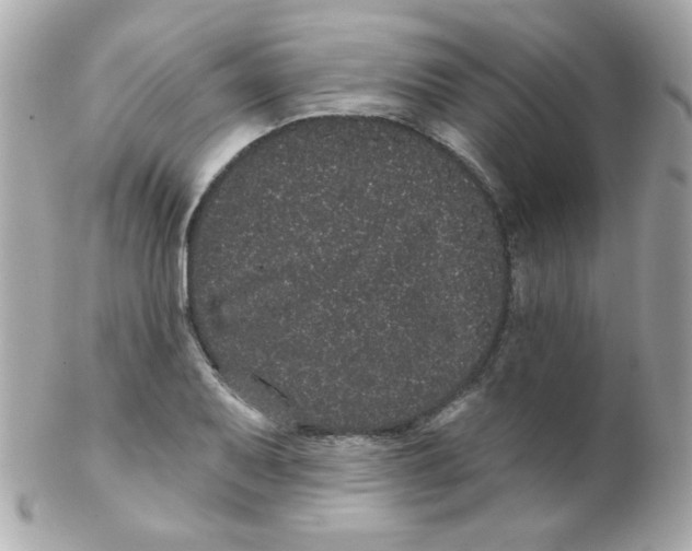 X0000102291079200808151947