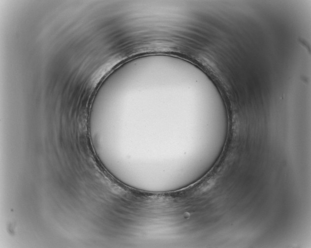 X0000102291081200808151947