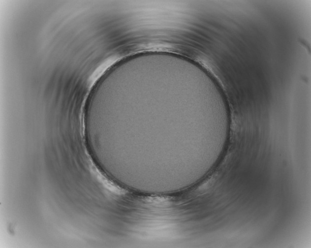 X0000102291082200808151947