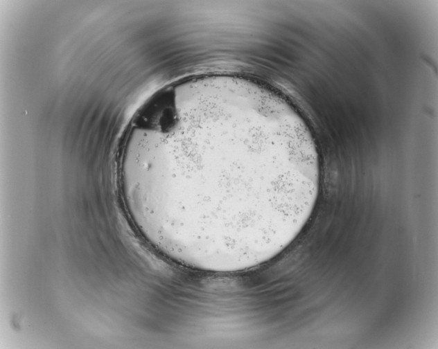 X0000102291083200808151947