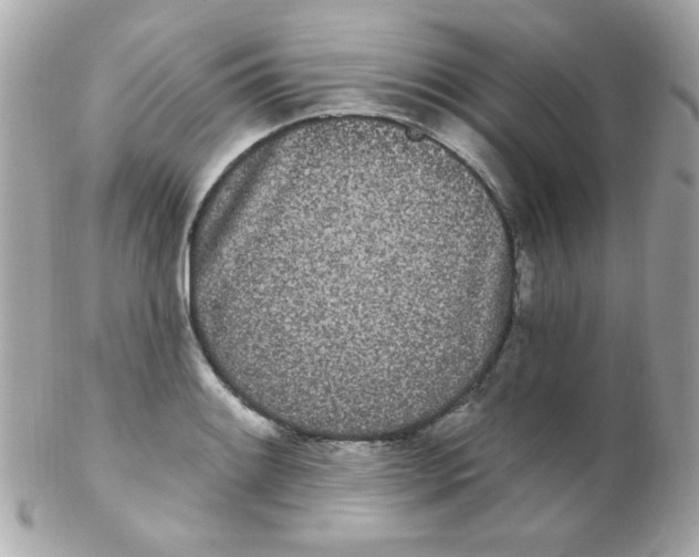 X0000102291084200808151947