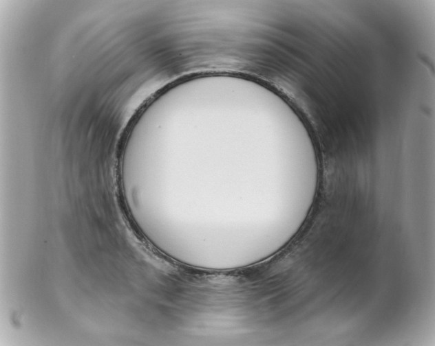 X0000102291085200808151947