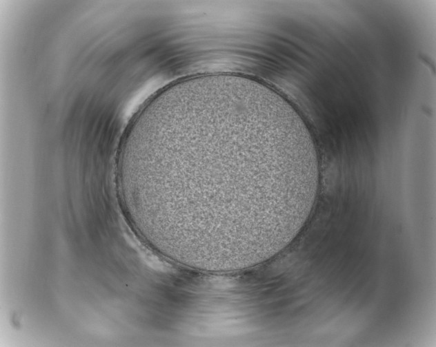 X0000102291086200808151947