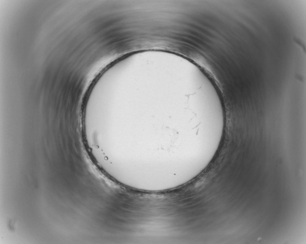 X0000102291088200808151947