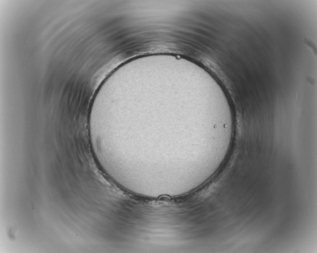 X0000102291089200808151947