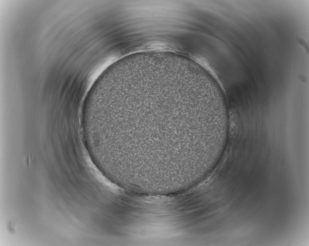 X0000102291091200808151947