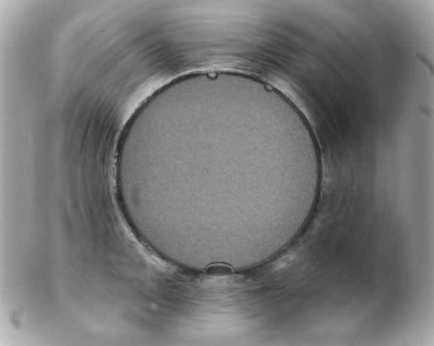 X0000102291093200808151947