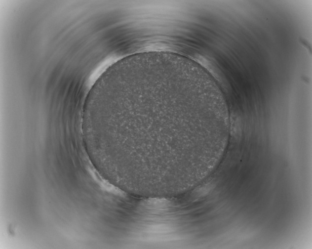 X0000102291094200808151947