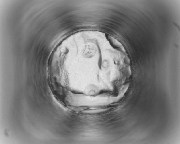 X0000102291095200808151947