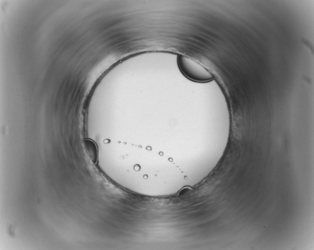 X0000102291096200808151947