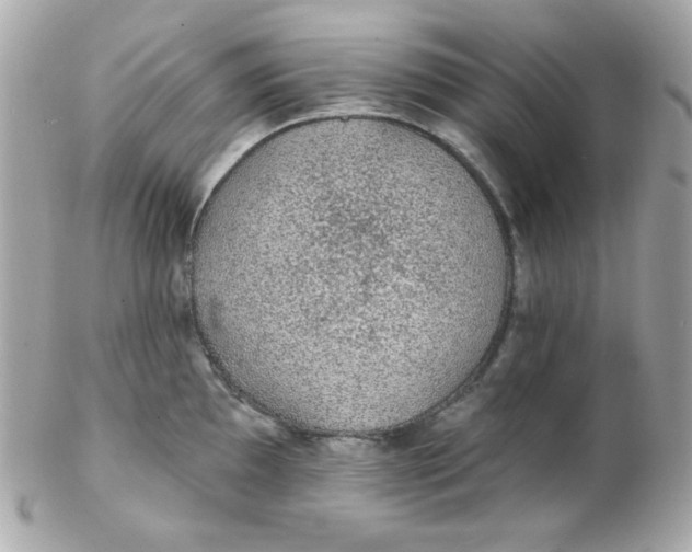 X0000102291097200808151946