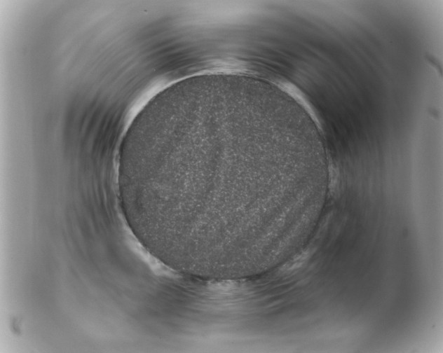 X0000102291099200808151946