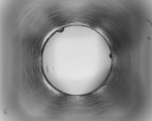 X0000102291100200808151946