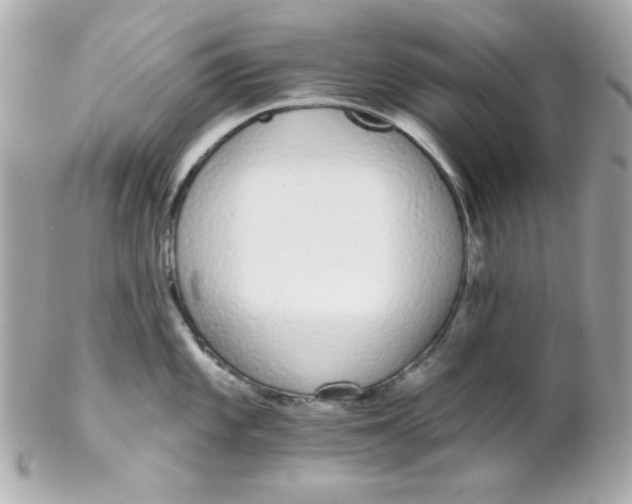 X0000102291101200808151946