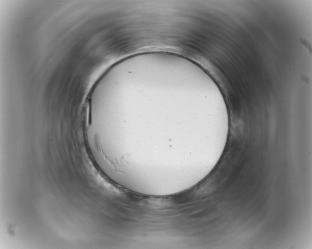 X0000102291102200808151946