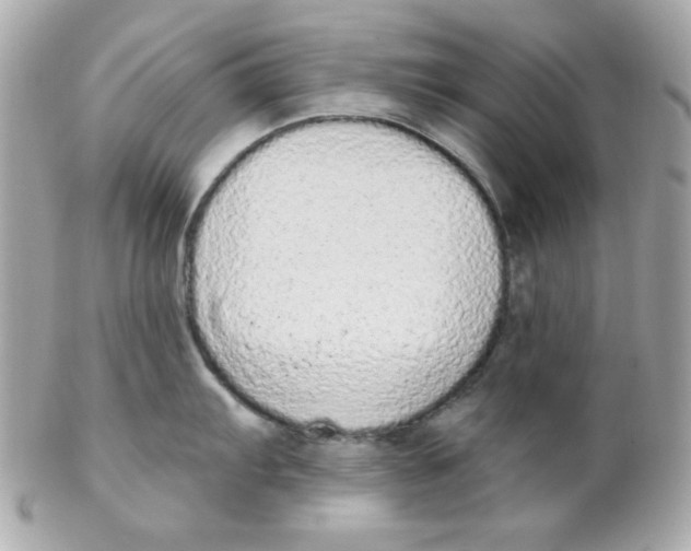 X0000102291103200808151946