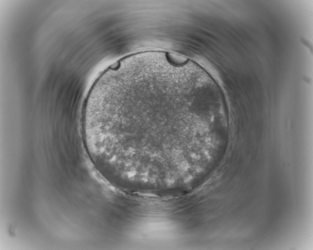 X0000102291104200808151946