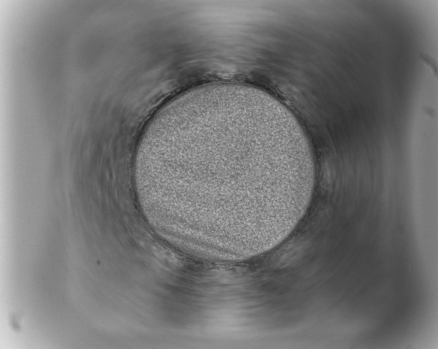 X0000102291105200808151946