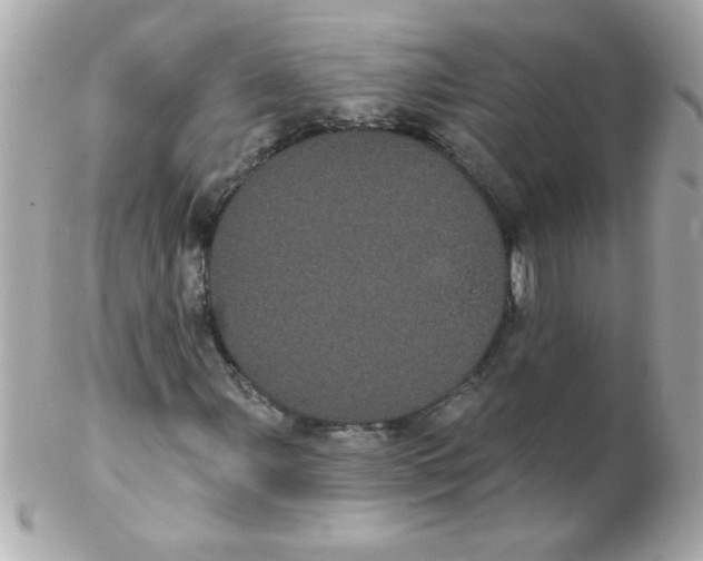 X0000102291107200808151946