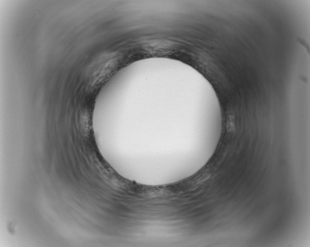 X0000102291108200808151946