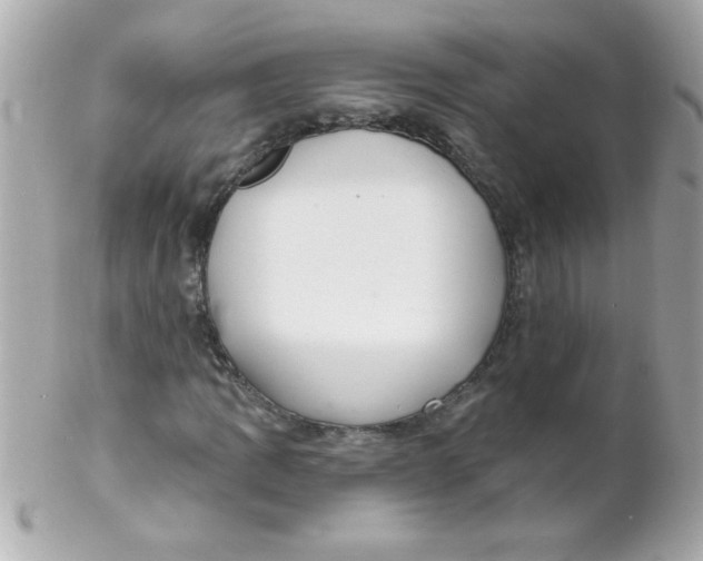 X0000102291109200808151946