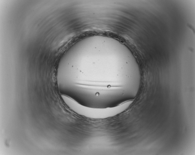 X0000102291110200808151946