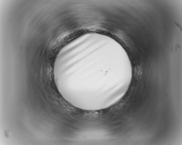 X0000102291111200808151946