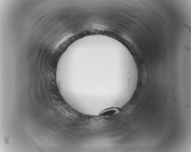 X0000102291112200808151946