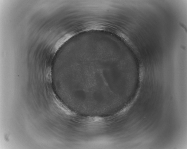 X0000102291113200808151946