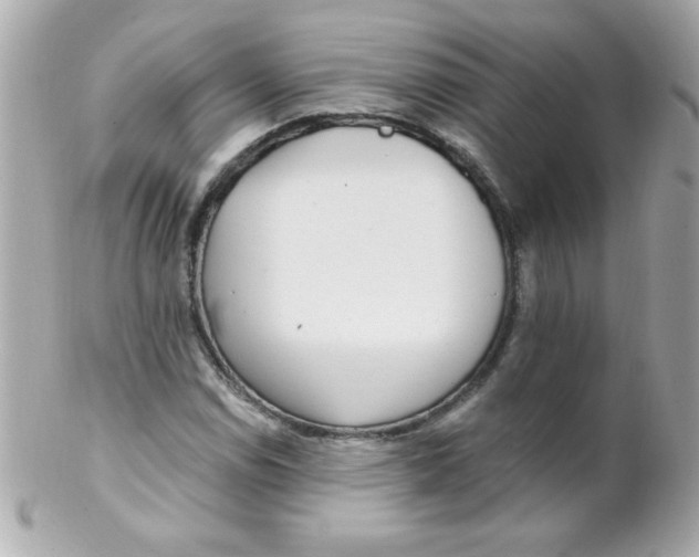 X0000102291114200808151946