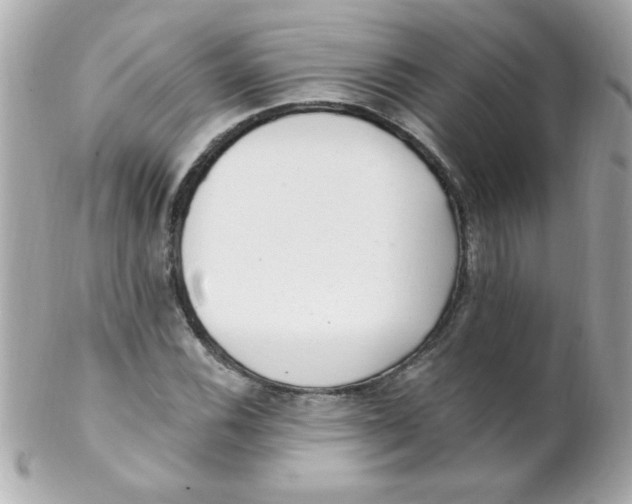 X0000102291116200808151946