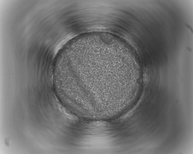 X0000102291117200808151946